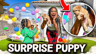 I SURPRISED MY KIDS WITH AN ADORABLE LITTLE PUPPY [upl. by Ecirtemed]