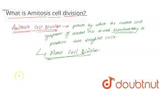 What is Amitosis cell division  CLASS 11  CELL CYCLE AND CELL DIVISION  BIOLOGY  Doubtnut [upl. by Ash]