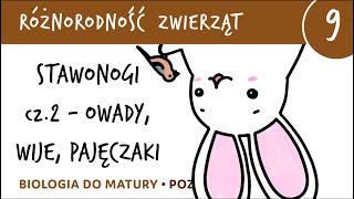 Różnorodność zwierząt 9  Stawonogi owady wije pajęczaki  matura z biologii rozszerzona [upl. by Vitia708]