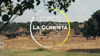 LA GLORIETA una ganadería para soñar [upl. by Nevet]