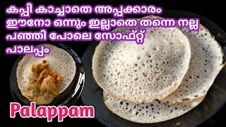 Palappam Recipe In Malayalam Palappam Vellayappam AppamKerala Palappam Recipeപാലപ്പംവെള്ളയപ്പം [upl. by Euhc692]