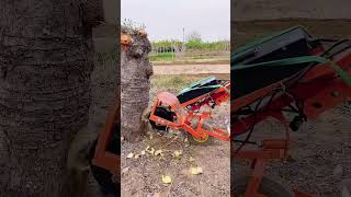 48V electric weeder Small trencher Peanut ridge weeder New agricultural machinery Mini tillage m [upl. by Arick866]