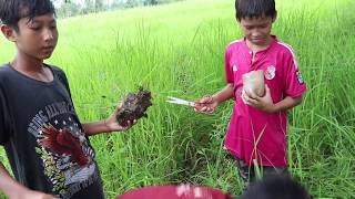 AMAZING Children Make Fish Trap With Multiple Knots Work 100  Khmer Fishing Get A Lot Fish Part 2 [upl. by Mansoor840]