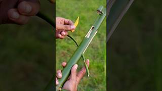 Bamboo creations with new green bamboo Idea Bamboo Diy Bambooart Slingshots [upl. by Regan]