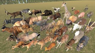 EvenToed Ungulates Animal Speed Comparison in 3D Animation  Realistic World Data [upl. by Dido]