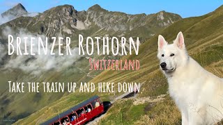 Worlds most beautiful train ride in Switzerland  Brienz Rothorn Bahn [upl. by Dory]