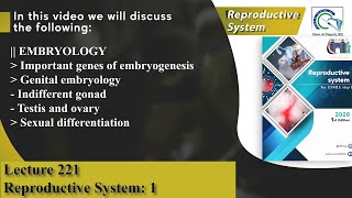 Genes of embryogenesis  Genital embryology  Indifferent gonad  Sexual differentiation [upl. by Elliot]