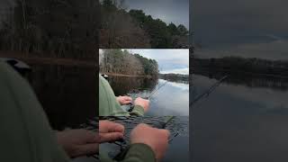 Fall Trout Fishing in Rhode Island fishing troutfishing trout outdoors dad shorts newengland [upl. by Ekrub970]