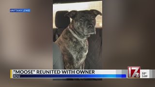 Moose dog lost at RDU reunited with pet parent [upl. by Aicilaanna]