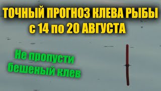 Прогноз клева рыбы с 14 по 20 Августа Календарь клева рыбы Лунный календарь рыбака [upl. by Ailime685]