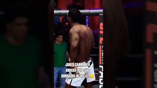 Jared Cannonier Knocks Out Caio Borralho in UFC 5 👊 Shorts  AI Simulation Gameplay [upl. by Stouffer314]