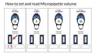 How do you read and set a micropipette [upl. by Burner618]