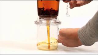 ingenuiTEA teapot  tea maker by Adagio Teas [upl. by Soule]