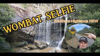 Chasing Wombat Selfie at Bendeela Reserve in the Southern Highlands of NSW Australia [upl. by Osher]