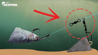 Beach Fishing Try THIS to Catch BIGGER Fish Fish Finder Rig Tutorial [upl. by Galen637]