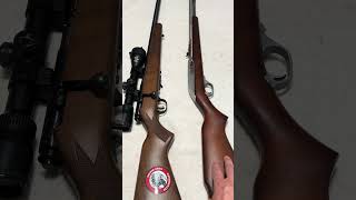 Savage 17 VS Marlin 22 Savage Marlin 22longrifle 17HMR shorts [upl. by Samuella817]