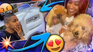 WE GOT A NEW DOG  I CRASHED MY 350000 ROLLS ROYCE 😭 [upl. by Hose873]