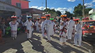 CHINITO KOY KOY  JARANA YUCATECA [upl. by Gnihc]