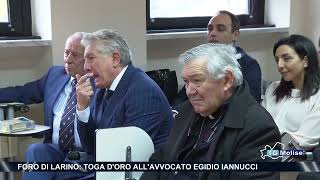 Foro di Larino toga doro allavvocato Egidio Iannucci [upl. by Ettelra]