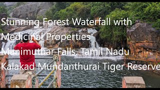 Gorgeous Manimuthar Falls during the monsoons  Kalakad Mundanthurai Tiger Reserve Tamil Nadu [upl. by Auqcinahs]