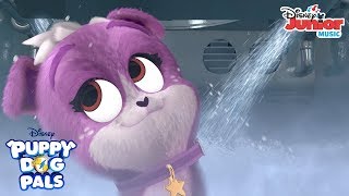 Dog Washing  Music Video  Puppy Dog Pals  Disney Junior [upl. by Scherman240]