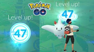 I Cross Level 47 in Pokemon go 😍 Road to Level 50 Pokemon go shorts [upl. by Ramat]