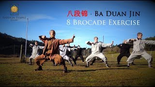 八段锦 · Ba Duan Jin 8 Brocade Exercise Qi Gong [upl. by Auqinahc]