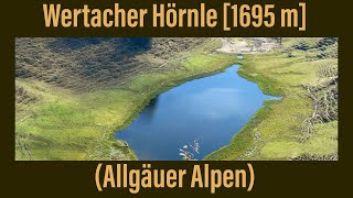 15  Wertacher Hörnle 1695 m  Allgäuer Alpen ￼ [upl. by Bordie]