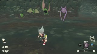 My Shiny Zubat Shiny Alpha Zubat Shiny Golbat amp Shiny Crobat  Pokemon Legends Arceus [upl. by Ehcrop394]