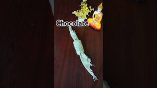 How to fold chocolate with handkerchief  kids crafts shorts new creative trending [upl. by Demakis660]