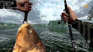 Fishing Planet  Sander Baggersee  Mirror Carp Trophy [upl. by Hew]