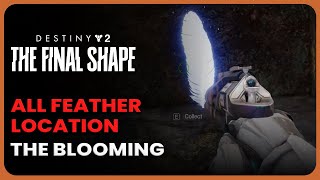 All Feathers Location in the Blooming  Destiny 2 Final Shape [upl. by Neehahs]