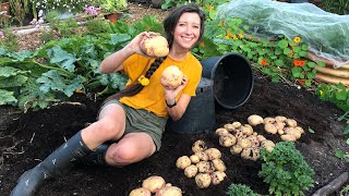 How to Grow Potatoes in Pots  Homegrown Garden [upl. by Ferd]