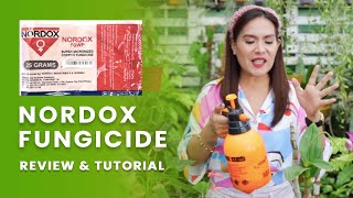 Nordox Fungicide Review and Tutorial for Phalaenopsis  Super Micronized Copper Fungicide [upl. by Aynos]