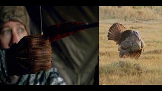 Traditional Archery Hunting for Osceola Turkeys with a Longbow [upl. by Toh]