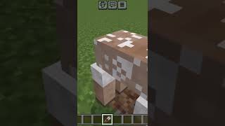 Tax time minecraft minecraftsheep minecraftdshorts viralvideo viral fyp fypシ゚ fypシ゚viral [upl. by Kemppe57]