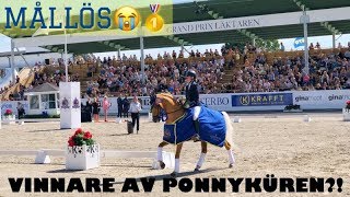 FALSTERBO HORSE SHOW 2019 [upl. by Una]