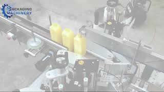 Bottle Filler Capper and Labeller [upl. by Kakalina]