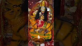 Chali aana meri maa🙏🏻navratri jaimatadi shortvideo [upl. by Chaffin]