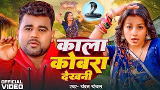 Video  Chandan Chanchal  काला कोबरा देखनी  Kala Cobra  Soumya Pandey  New Bhojpuri Song 2024 [upl. by Sucramal]