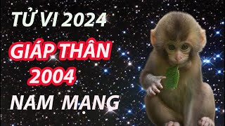 Tử vi nam Giáp Thân 2004 năm 2024 tốt hay xấu diễn tiến ra sao [upl. by Nahgem420]