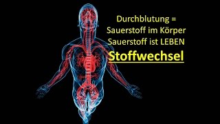 Wie funktioniert der Stoffwechsel  Einfach erklärt [upl. by Daffie644]