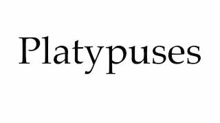 How to Pronounce Platypuses [upl. by Gan]