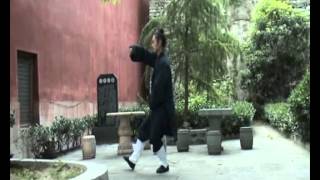 Sanfeng 28 Taijiquan Zhong Xue Yong [upl. by Varrian]