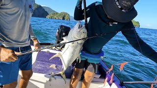 Catch and Cook  king Mackerel amp Jack Crevalle [upl. by Higgins880]