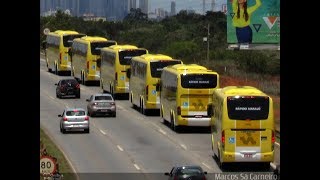 Especial Rápido Marajó  Todas as 15 linhas da empresa [upl. by Pasco]