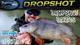 DROPSHOT DIARIES  Ep 2  Canals  TAFishing [upl. by Anowahs646]