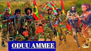 oduu haaraa guyyaa haraa oromiyaa keessa jiru 2024  Ethiopia tops News today News 2024 [upl. by Selyn1]