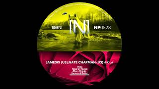 JAMESKI US Nate Chapman US  Vamos A Bailar Original Mix NOPRESET RECORDS [upl. by Marylinda615]