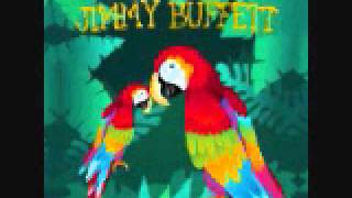 Why Dont We Get Drunk  Jimmy Buffett Lullaby Tribute [upl. by Bezanson]